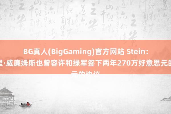 BG真人(BigGaming)官方网站 Stein：阿马里·威廉姆斯也曾容许和绿军签下两年270万好意思元的协议