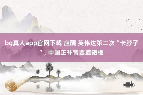 bg真人app官网下载 应酬 英伟达第二次“卡脖子”， 中国正补皆要道短板