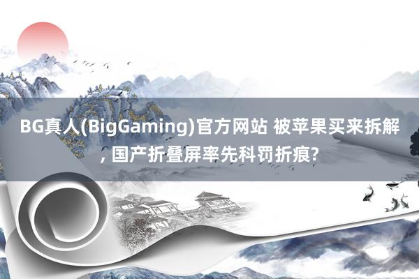 BG真人(BigGaming)官方网站 被苹果买来拆解， 国产折叠屏率先科罚折痕?