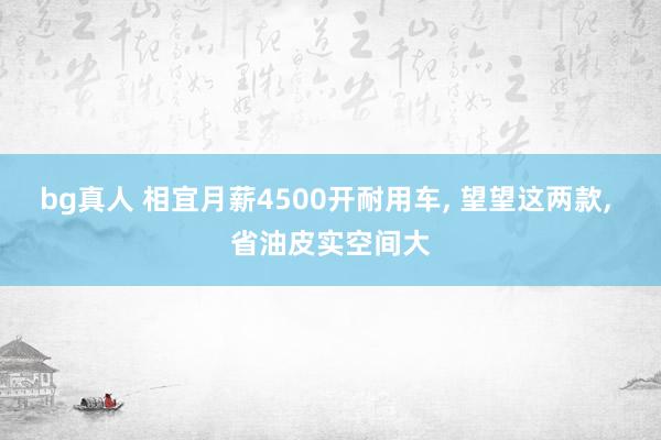 bg真人 相宜月薪4500开耐用车， 望望这两款， 省油皮实空间大