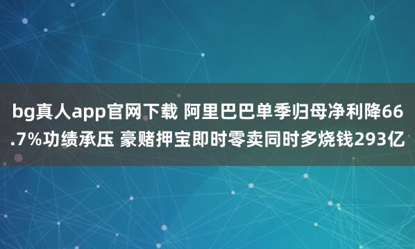bg真人app官网下载 阿里巴巴单季归母净利降66.7%功绩承压 豪赌押宝即时零卖同时多烧钱293亿