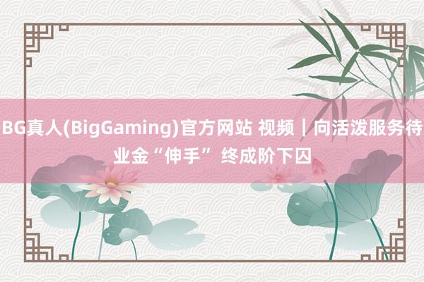 BG真人(BigGaming)官方网站 视频｜向活泼服务待业金“伸手” 终成阶下囚