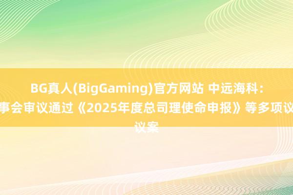 BG真人(BigGaming)官方网站 中远海科：董事会审议通过《2025年度总司理使命申报》等多项议案