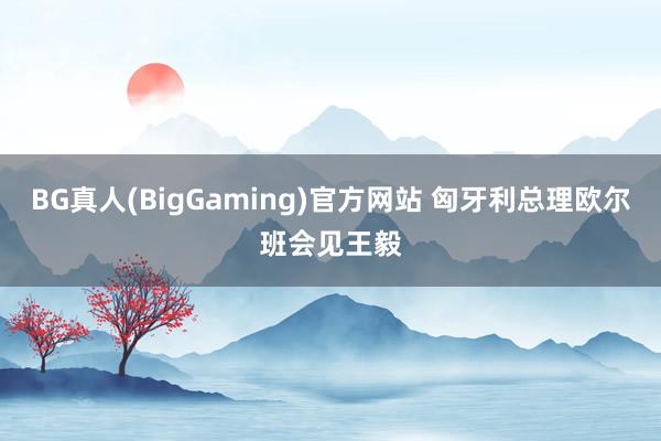 BG真人(BigGaming)官方网站 匈牙利总理欧尔班会见王毅