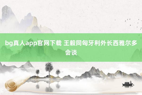 bg真人app官网下载 王毅同匈牙利外长西雅尔多会谈