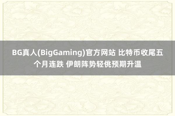 BG真人(BigGaming)官方网站 比特币收尾五个月连跌 伊朗阵势轻佻预期升温