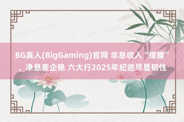 BG真人(BigGaming)官网 非息收入“撑腰”、净息差企稳 六大行2025年纪迹尽显韧性