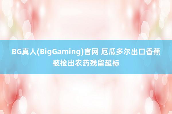 BG真人(BigGaming)官网 厄瓜多尔出口香蕉被检出农药残留超标