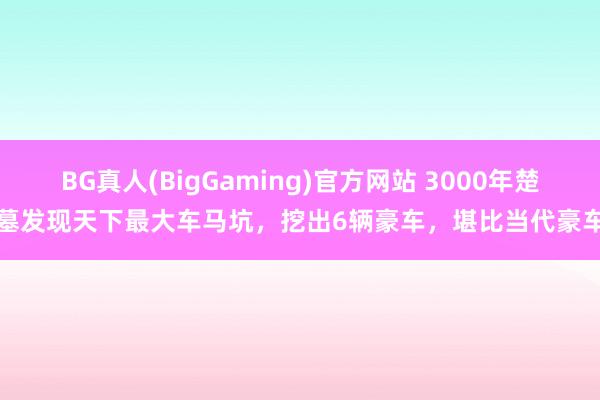 BG真人(BigGaming)官方网站 3000年楚墓发现天下最大车马坑，挖出6辆豪车，堪比当代豪车