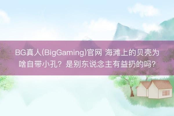 BG真人(BigGaming)官网 海滩上的贝壳为啥自带小孔？是别东说念主有益扔的吗？