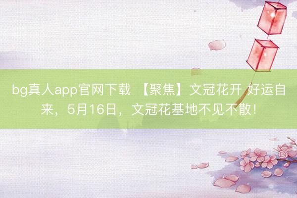 bg真人app官网下载 【聚焦】文冠花开 好运自来，5月16日，文冠花基地不见不散！
