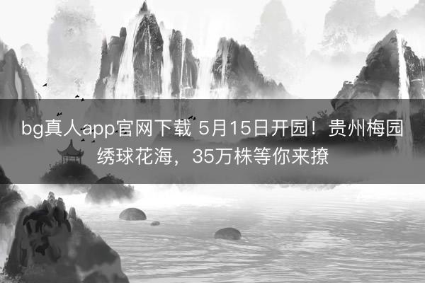 bg真人app官网下载 5月15日开园！贵州梅园绣球花海，35万株等你来撩