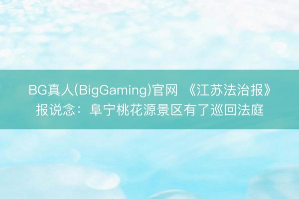 BG真人(BigGaming)官网 《江苏法治报》报说念：阜宁桃花源景区有了巡回法庭
