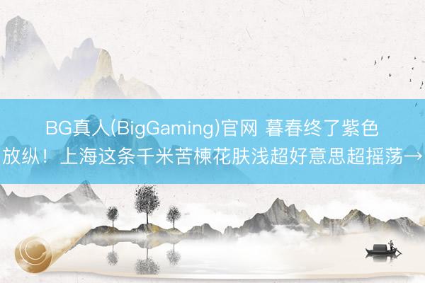 BG真人(BigGaming)官网 暮春终了紫色放纵！上海这条千米苦楝花肤浅超好意思超摇荡→