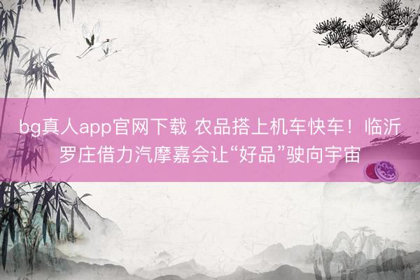 bg真人app官网下载 农品搭上机车快车！临沂罗庄借力汽摩嘉会让“好品”驶向宇宙