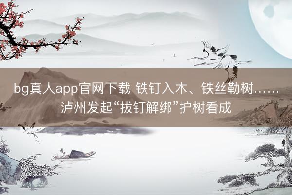 bg真人app官网下载 铁钉入木、铁丝勒树……泸州发起“拔钉解绑”护树看成