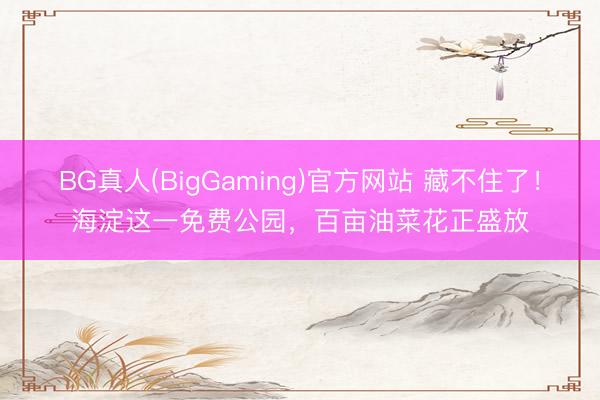 BG真人(BigGaming)官方网站 藏不住了！海淀这一免费公园，百亩油菜花正盛放