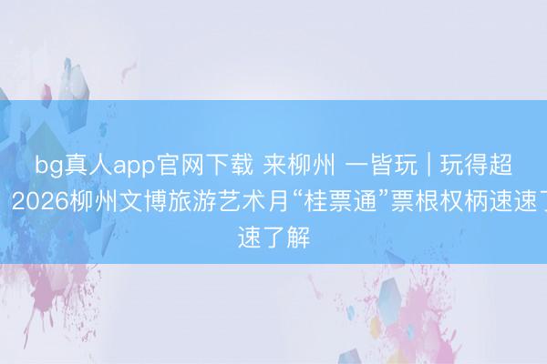 bg真人app官网下载 来柳州 一皆玩 | 玩得超省！2026柳州文博旅游艺术月“桂票通”票根权柄速速了解