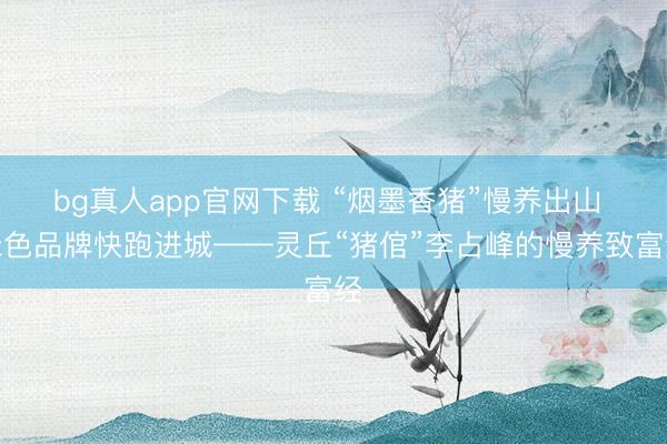 bg真人app官网下载 “烟墨香猪”慢养出山 绿色品牌快跑进城——灵丘“猪倌”李占峰的慢养致富经