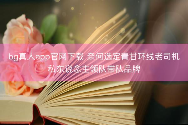 bg真人app官网下载 奈何选定青甘环线老司机私东说念主领队带队品牌