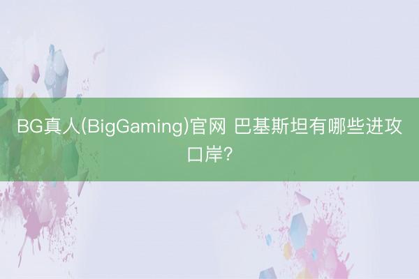 BG真人(BigGaming)官网 巴基斯坦有哪些进攻口岸？