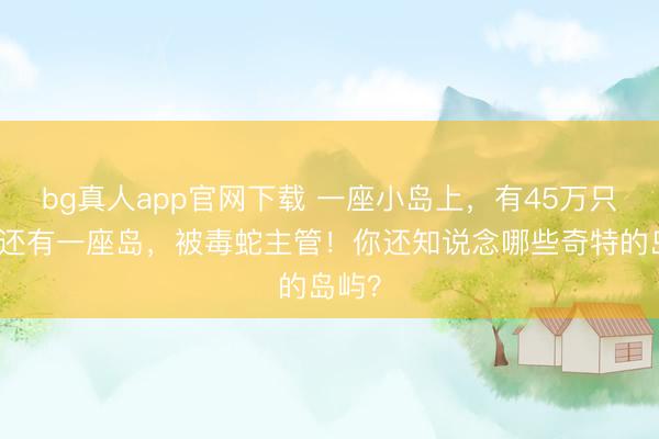 bg真人app官网下载 一座小岛上，有45万只鸡！还有一座岛，被毒蛇主管！你还知说念哪些奇特的岛屿？