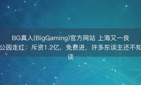 BG真人(BigGaming)官方网站 上海又一良心公园走红：斥资1.2亿，免费进，许多东谈主还不知谈
