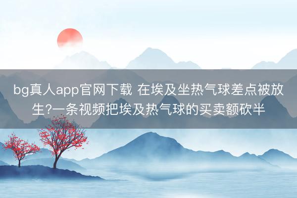 bg真人app官网下载 在埃及坐热气球差点被放生?一条视频把埃及热气球的买卖额砍半