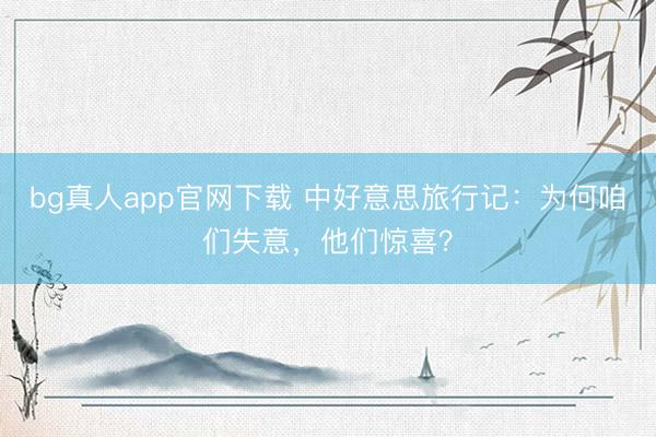 bg真人app官网下载 中好意思旅行记：为何咱们失意，他们惊喜？