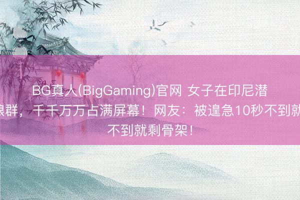 BG真人(BigGaming)官网 女子在印尼潜水遇海狼群,千千万万占满屏幕!网友:被遑急10秒不到就剩骨架!