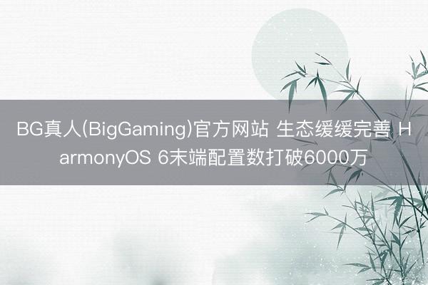 BG真人(BigGaming)官方网站 生态缓缓完善 HarmonyOS 6末端配置数打破6000万