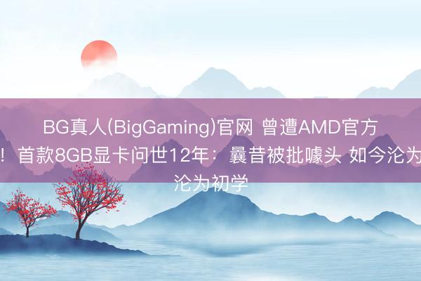 BG真人(BigGaming)官网 曾遭AMD官方阻止！首款8GB显卡问世12年：曩昔被批噱头 如今沦为初学