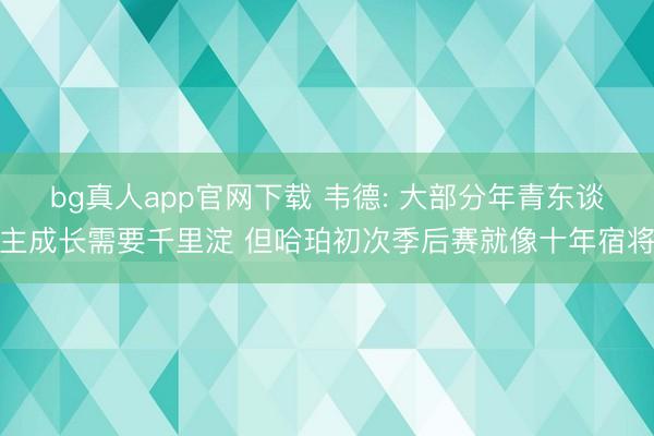 bg真人app官网下载 韦德: 大部分年青东谈主成长需要千里淀 但哈珀初次季后赛就像十年宿将