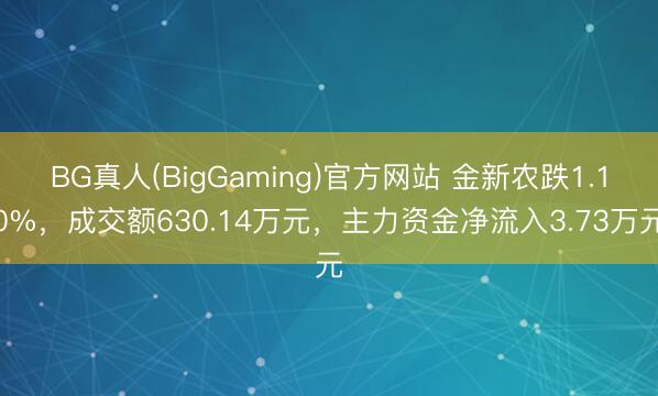 BG真人(BigGaming)官方网站 金新农跌1.10%，成交额630.14万元，主力资金净流入3.73万元